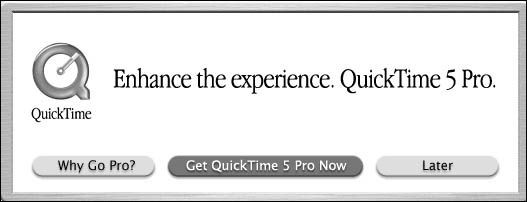 quicktime pro mac promotional pricing